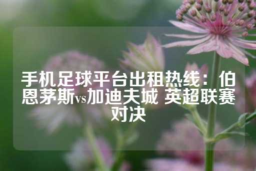 手机足球平台出租热线：伯恩茅斯vs加迪夫城 英超联赛对决-第1张图片-皇冠信用盘出租