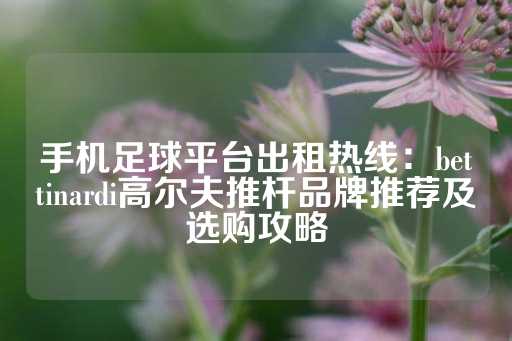 手机足球平台出租热线：bettinardi高尔夫推杆品牌推荐及选购攻略