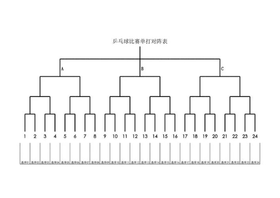 乒乓球女队超级联赛赛制和规则介绍